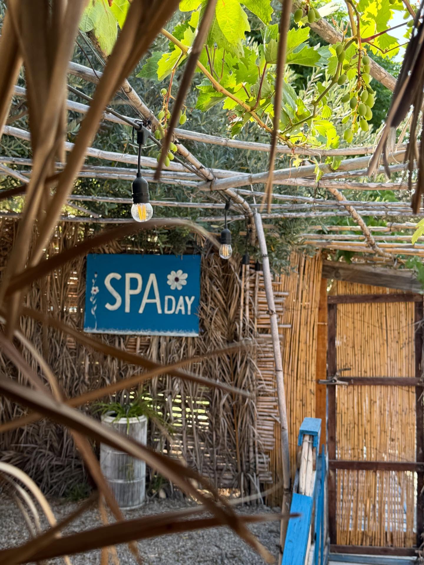 Rustic spa area with grape vines and Edison lights